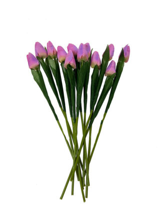 Tulipan pojedynczy TS001 12 szt. (35 cm)