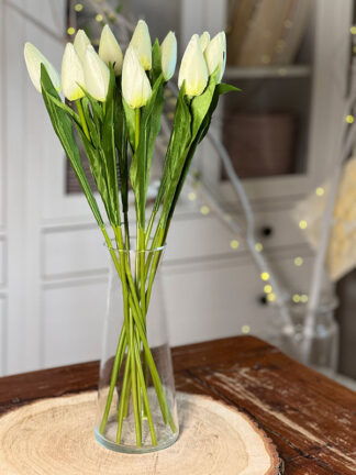 Tulipan pojedynczy F067 do wazonu 9 kolorów (55 cm)