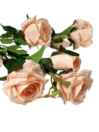 Bukiet Róża x 7  T04 (50 cm)