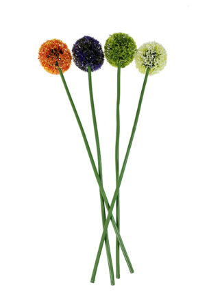 Czosnek dekoracyjny pojedynczy H262A (56 cm)