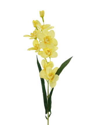 Storczyk na gałązce G031 KOLORY