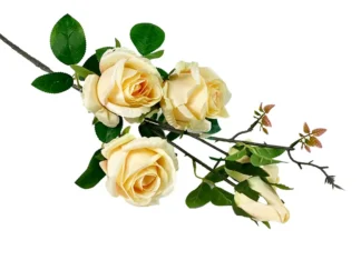 Piękna Róża na gałązce H11A (84cm)