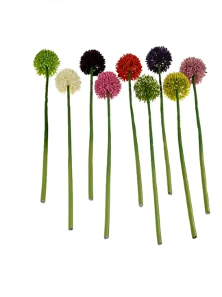 Wiosenny czosnek ozdobny C447C (43 cm)