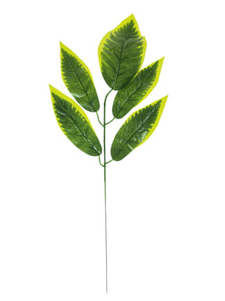 Liść pojedynczy 01 #5 TF025 #50 (55 cm)