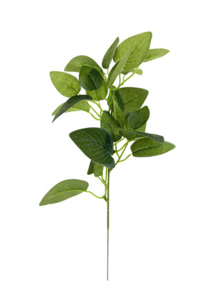 Fitonia Gałązka dekoracyjna A718 (30cm)