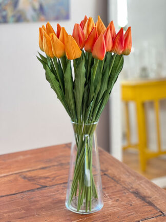Tulipan pojedynczy BL053 (50 cm)