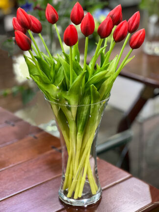 Tulipan gumowany K25 (45 cm)