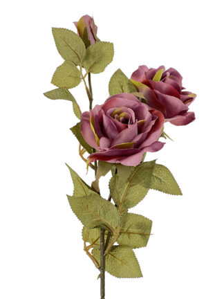 Róża na gałązce J095 AUT Jesienne kolory