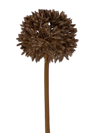 Czosnek ozdobny C447A Różne kolory (45 cm)