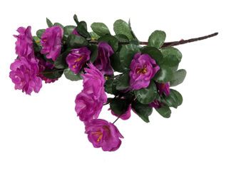 Azalia w bukiecie QA196 Ciemny róż (35cm)