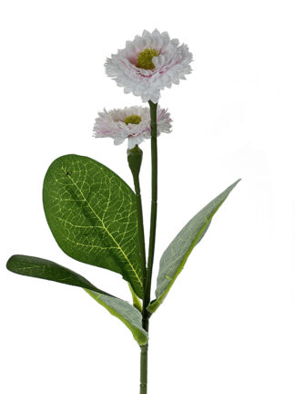 Stokrotka DAISY EJ003 Biały/Róż #3 (31 cm)