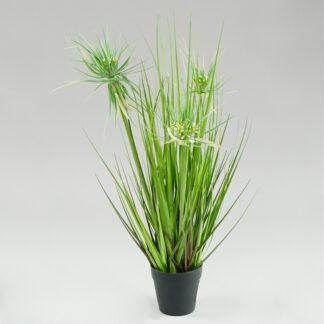 Dekoracyjna trawa w doniczce 1728_G
