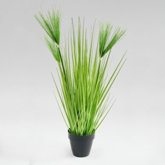 Dekoracyjna trawa w doniczce Papirus A0240